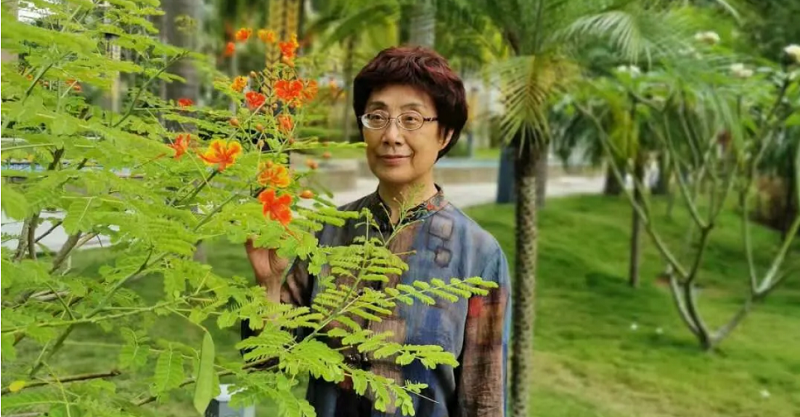 ”365英国“学术沙龙第五讲预告