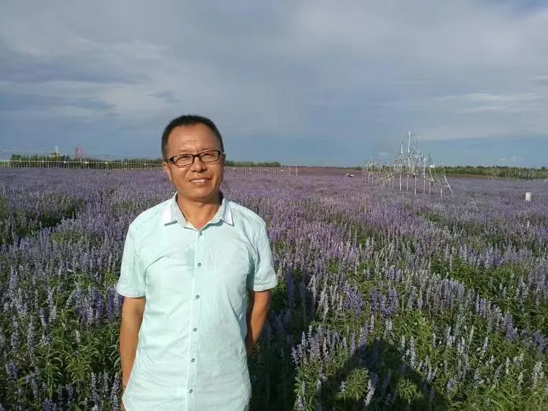 “365英国”学术沙龙第十六讲预告
