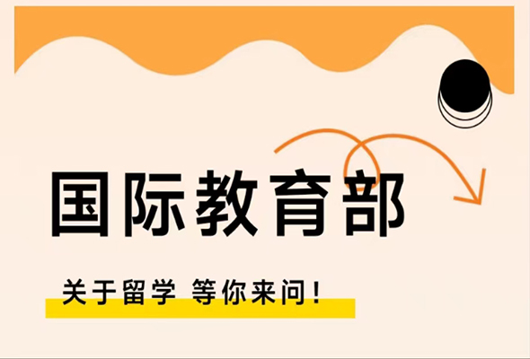 公司国际教育部开展留学咨询服务