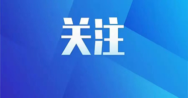 365英国上市公司2024年本科招生录取进度汇总