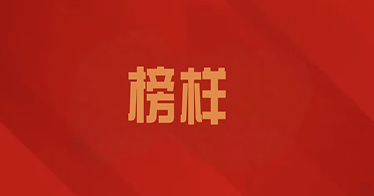 公司学生获得国家奖学金名单