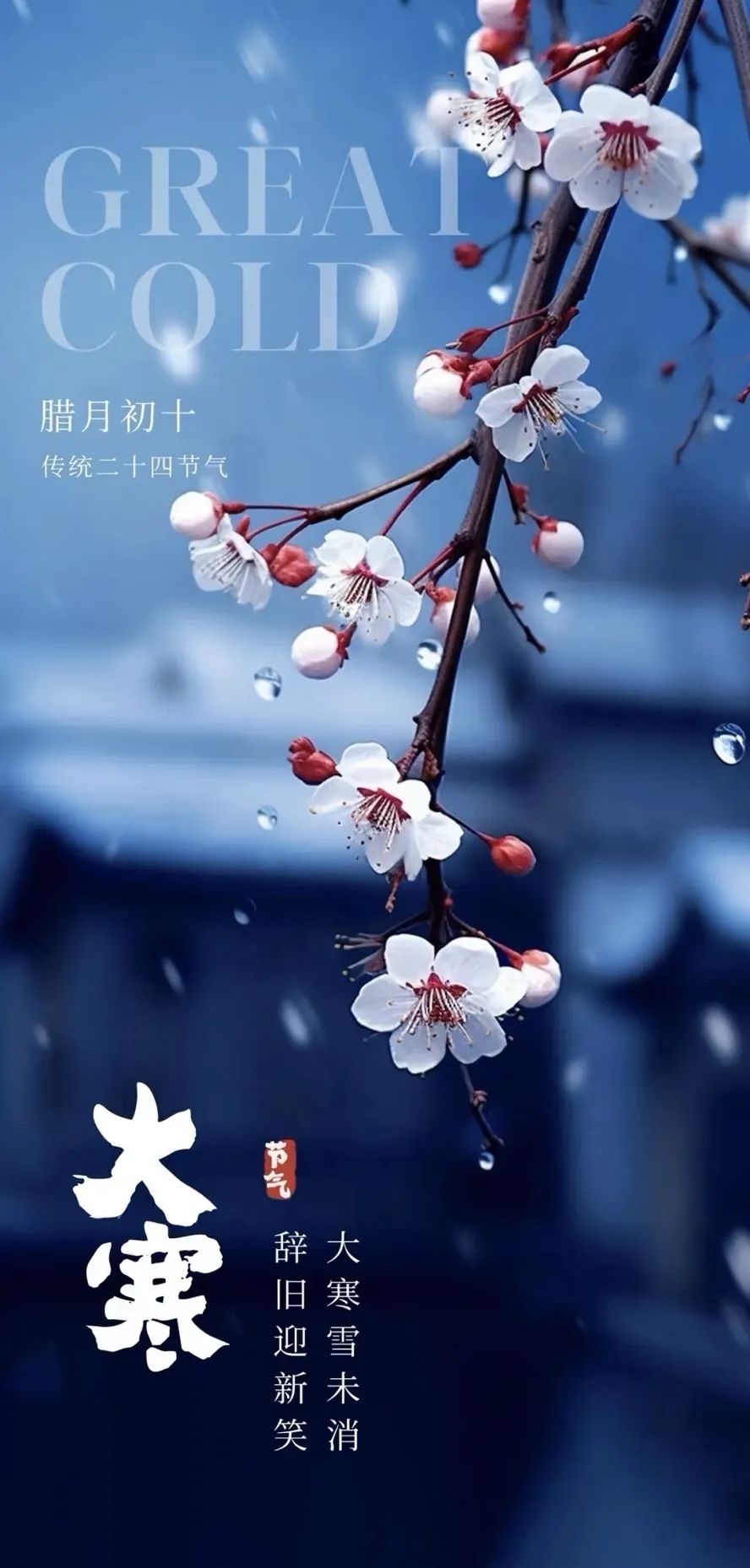 微信图片_20250515210201.jpg
